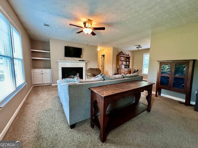 2966 Upper Big Springs Road LaGrange - 19