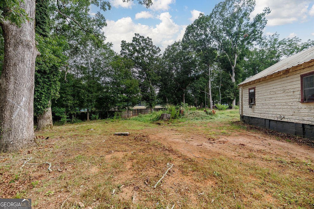 248 Lester Road Athens - 9