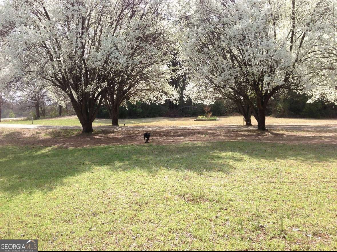 2715 Williamson Road Williamson - 2