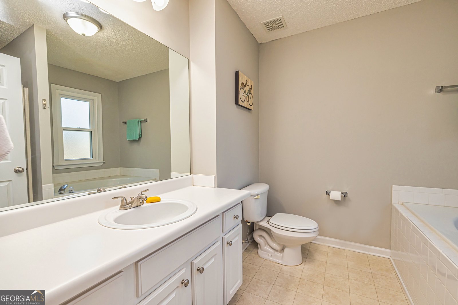 197 Portico Place Newnan - 19