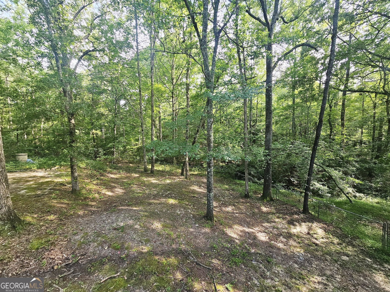 6289 Rock Mills Road Franklin - 31