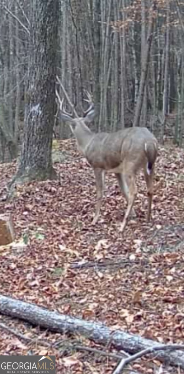 159 Moores Ferry Road Plainville - 42