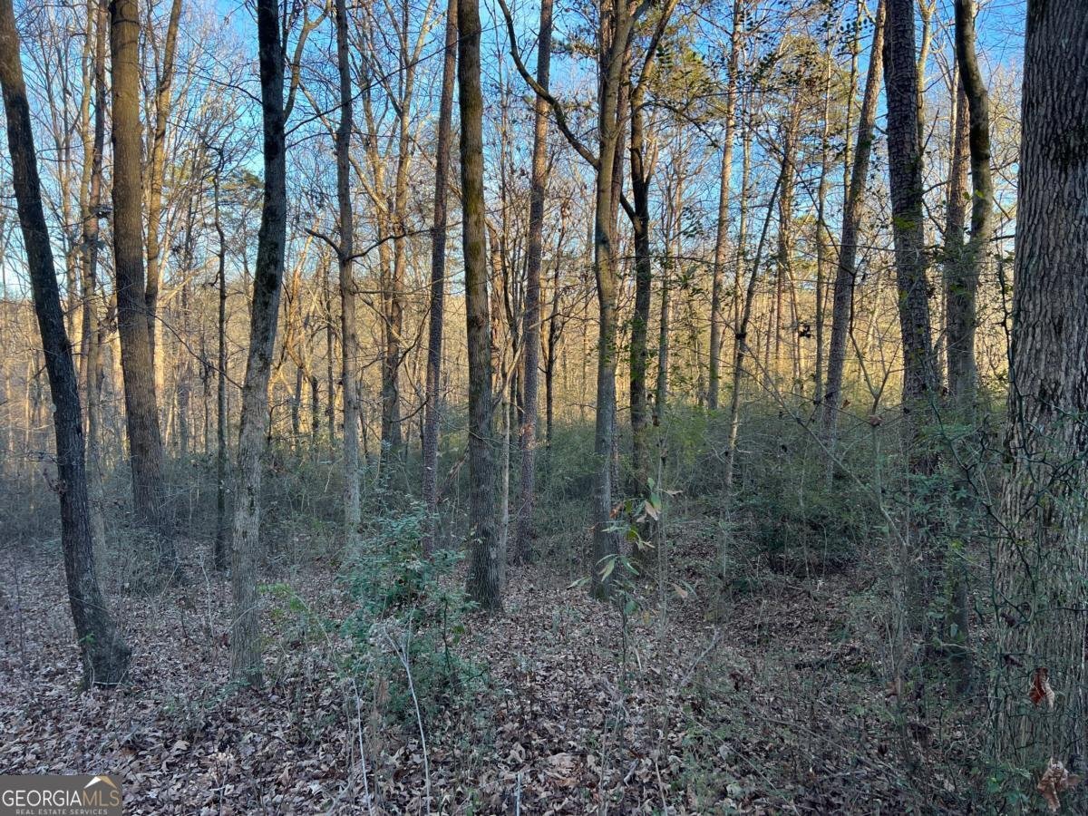 4638 Highway 63 Carnesville - 48