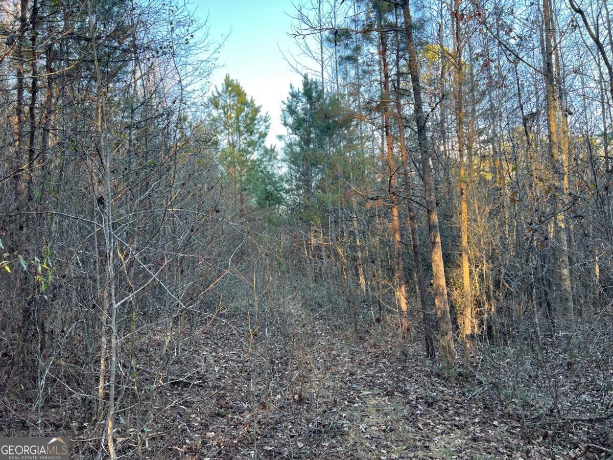 4638 Highway 63 Carnesville - 53