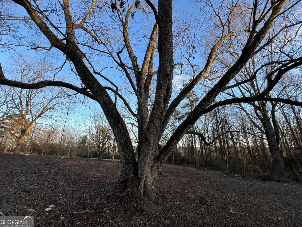 4638 Highway 63 Carnesville - 55