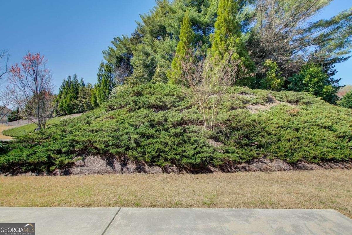 1040 PEYTON VIEW Court Alpharetta - 17