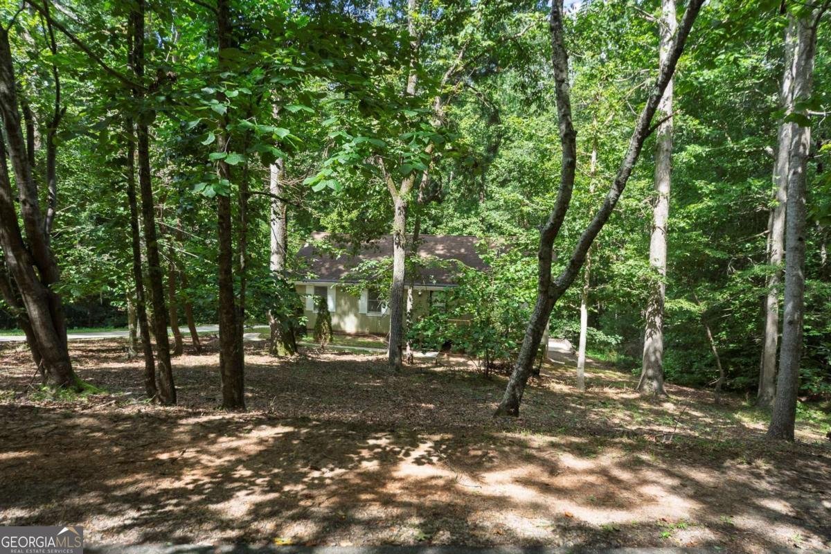 2202 Heath Drive Ball Ground - 3
