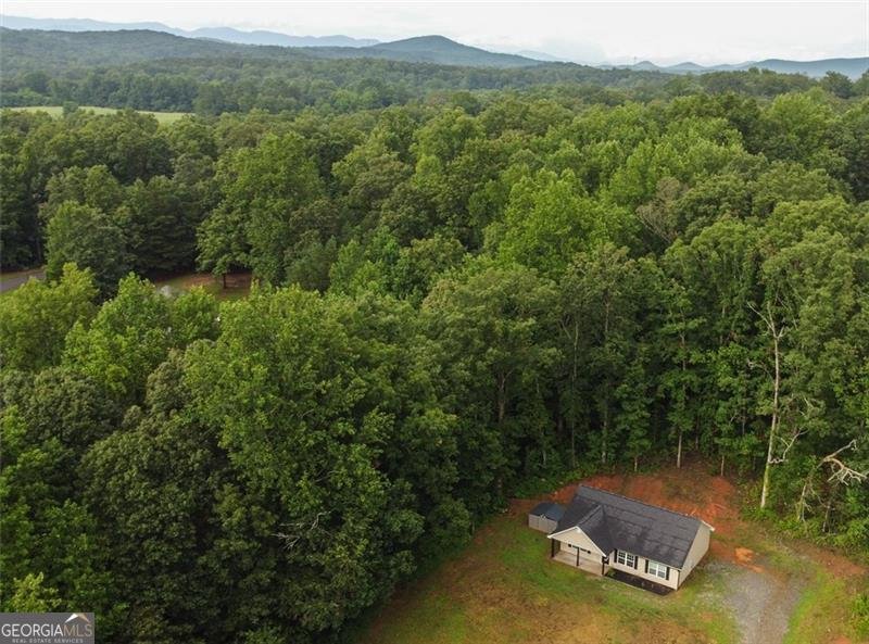 119 Pine Corner Drive Dahlonega - 10