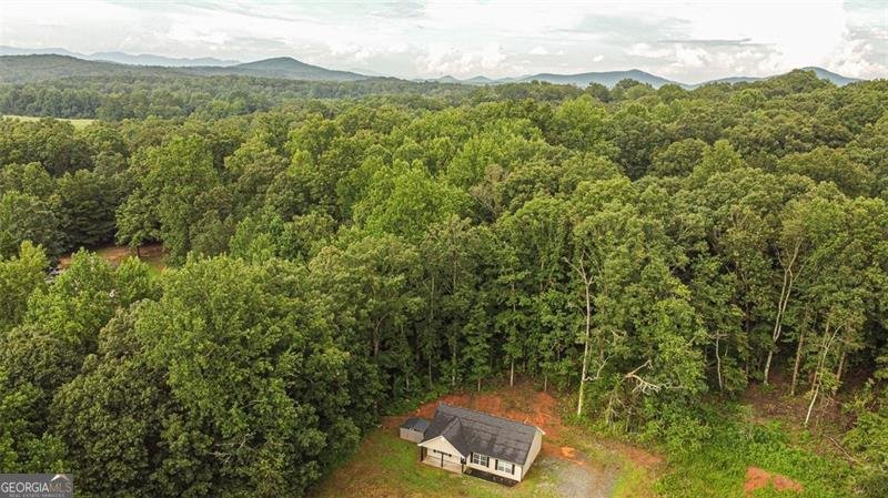 119 Pine Corner Drive Dahlonega - 11