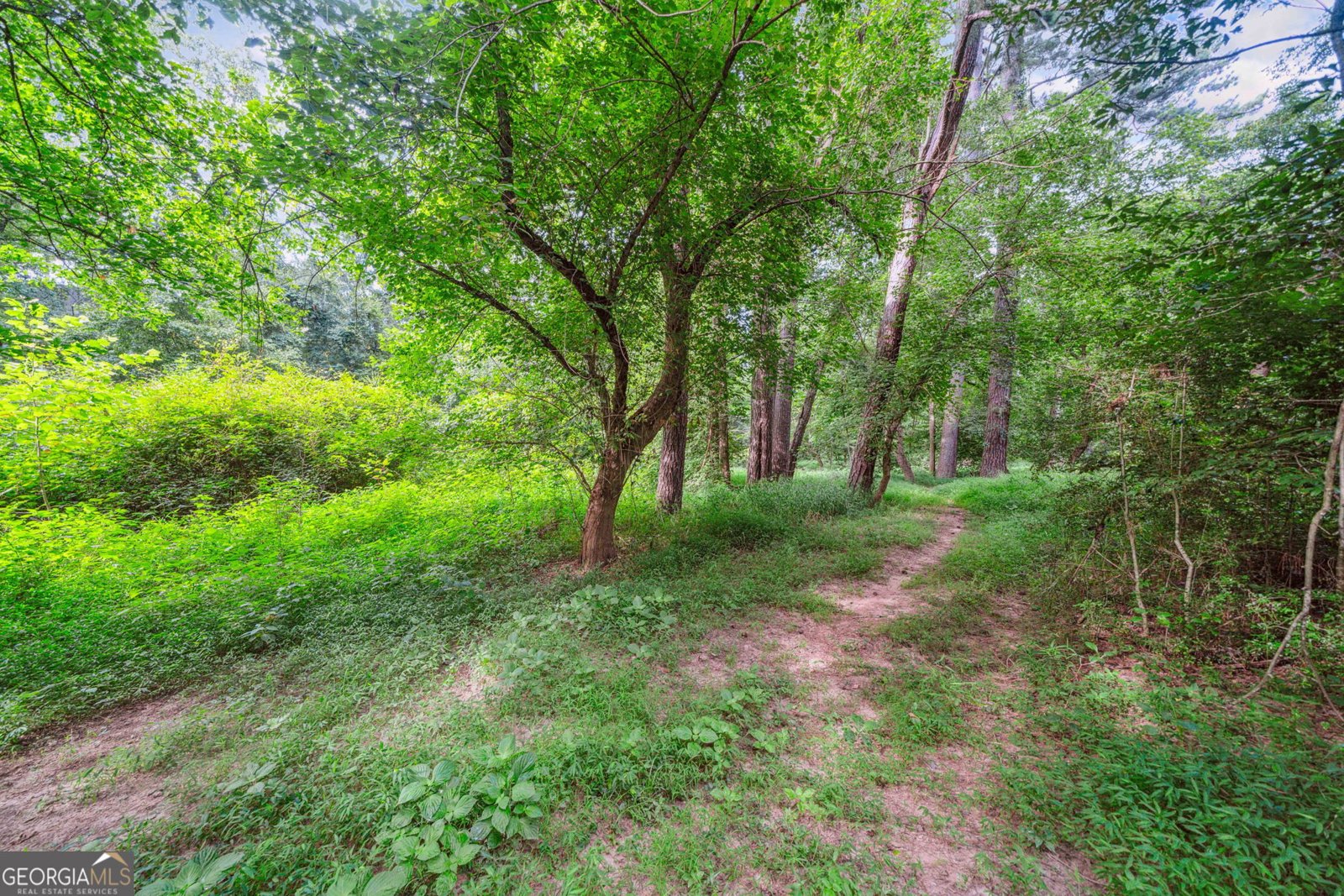 1265 Whitestone Ridge Alpharetta - 33