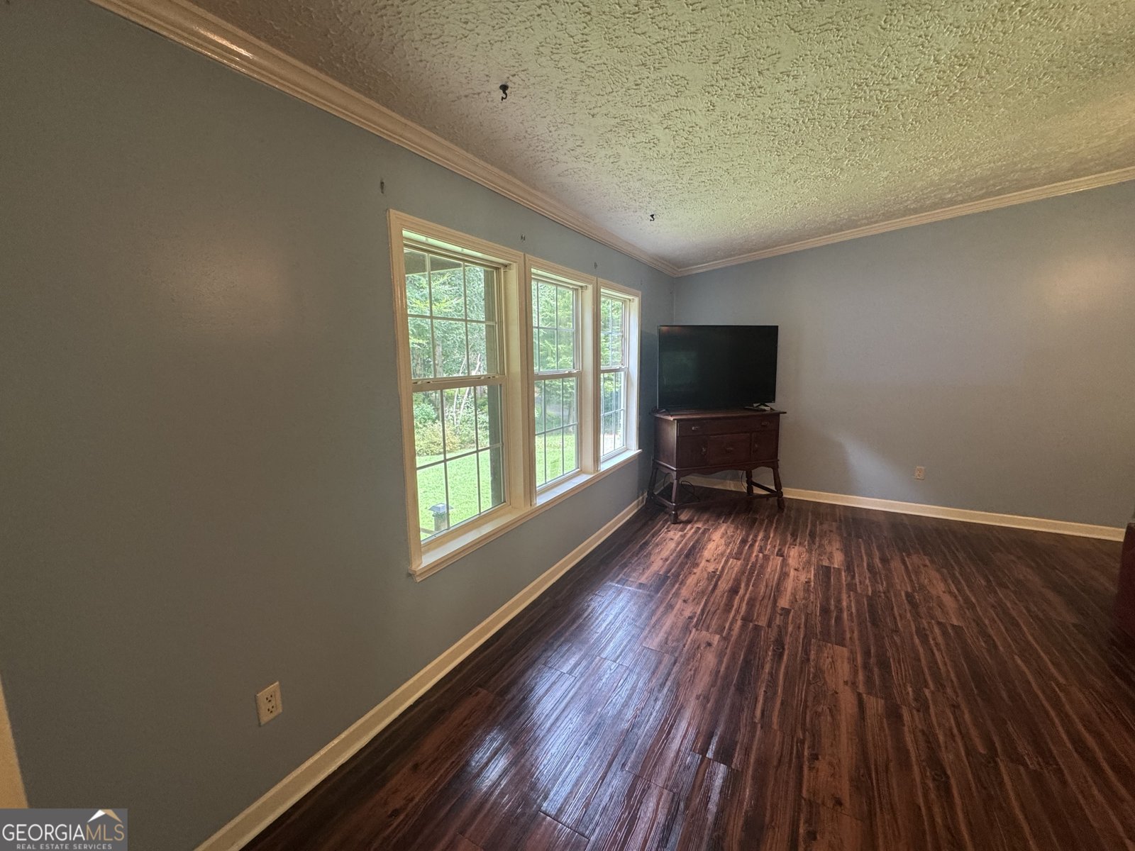 2400 Zingara Road Conyers - 4