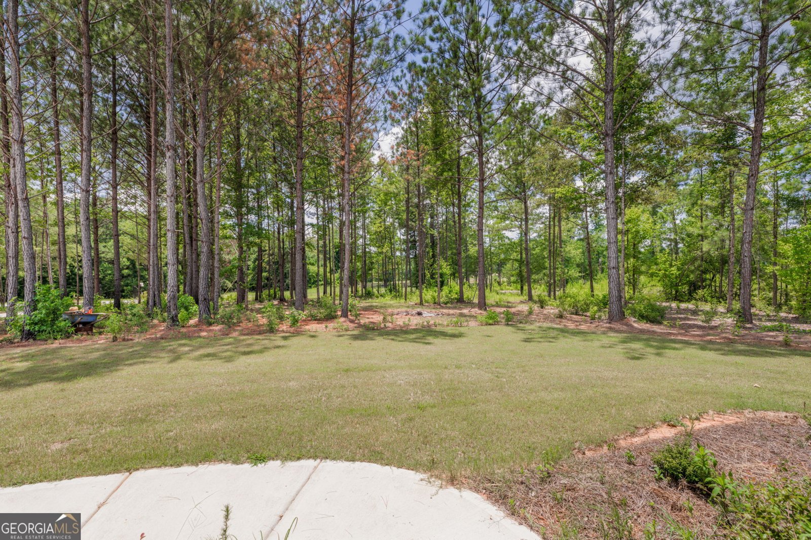 2114 Allie Road Greenville - 64