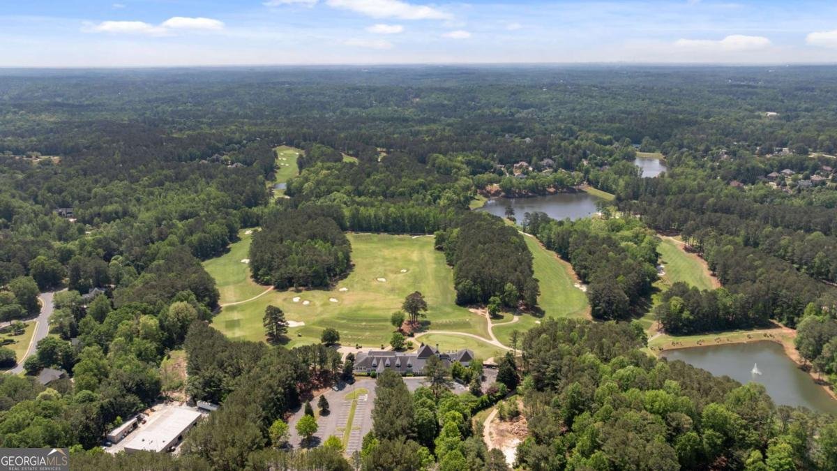 15420 Treyburn Manor View Alpharetta - 4