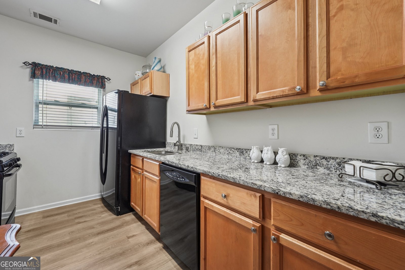 4609 Blue Iris Way Oakwood - 11