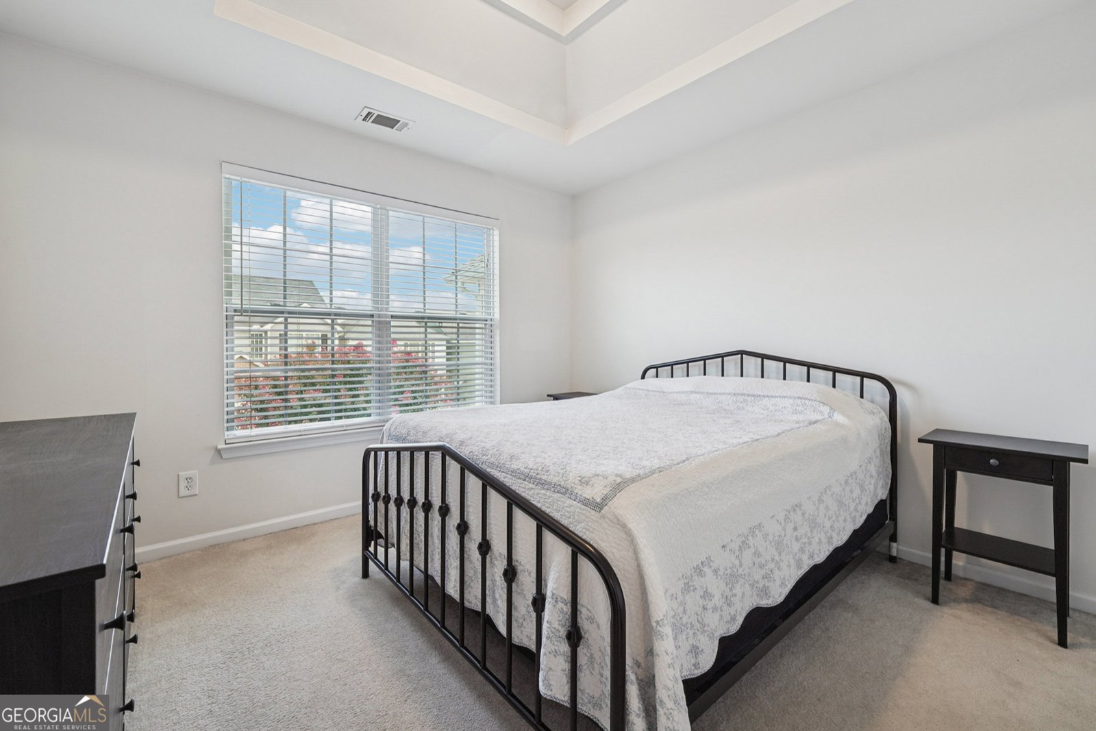 4609 Blue Iris Way Oakwood - 22