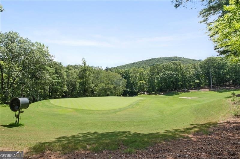 10 Chestnut Knoll Point Jasper - 45