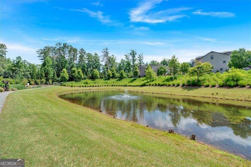 1099 Heyward Way Alpharetta - 44