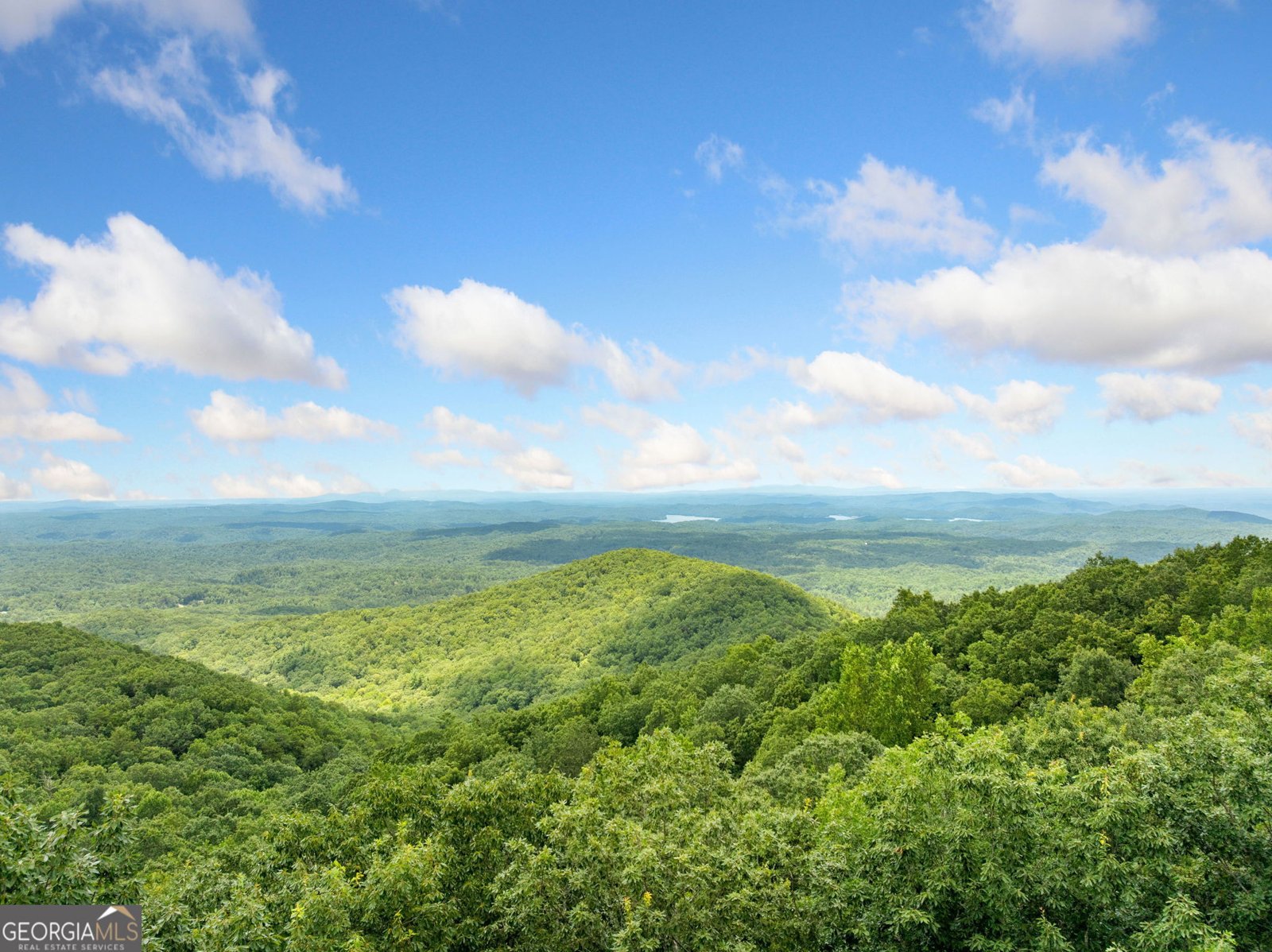2697 Brushy Top Road Ellijay - 2