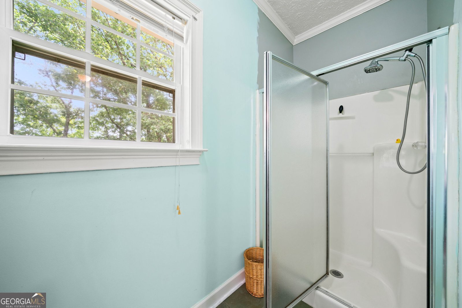 2697 Brushy Top Road Ellijay - 21