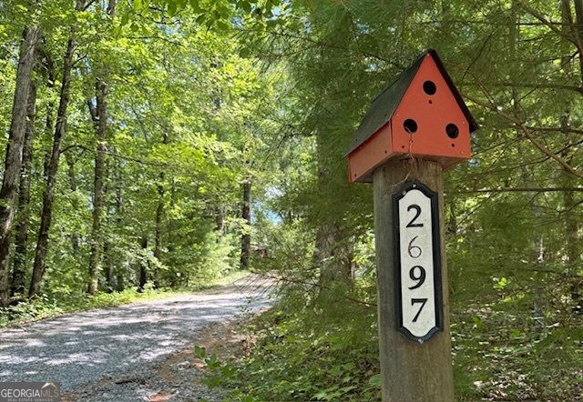 2697 Brushy Top Road Ellijay - 3