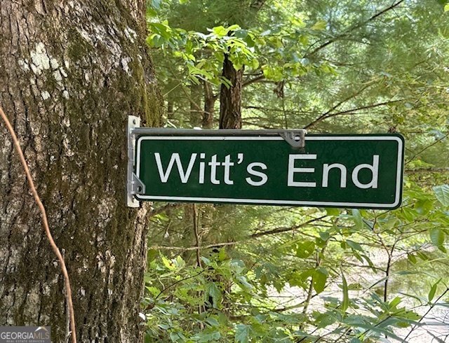 2697 Brushy Top Road Ellijay - 52