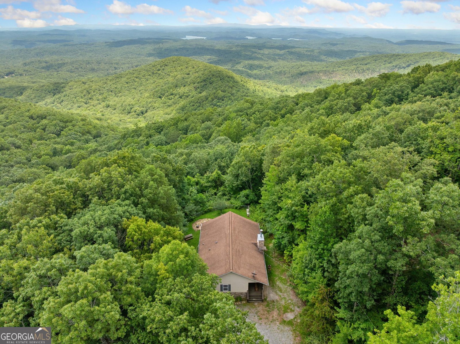 2697 Brushy Top Road Ellijay - 6
