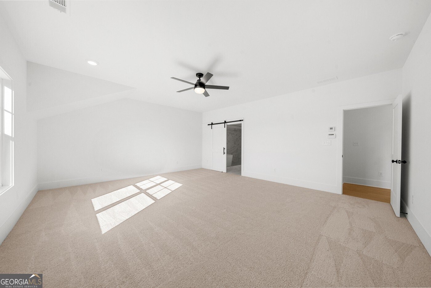 205 Carrington Point Canton - 36