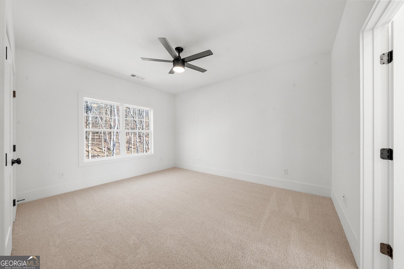 205 Carrington Point Canton - 45
