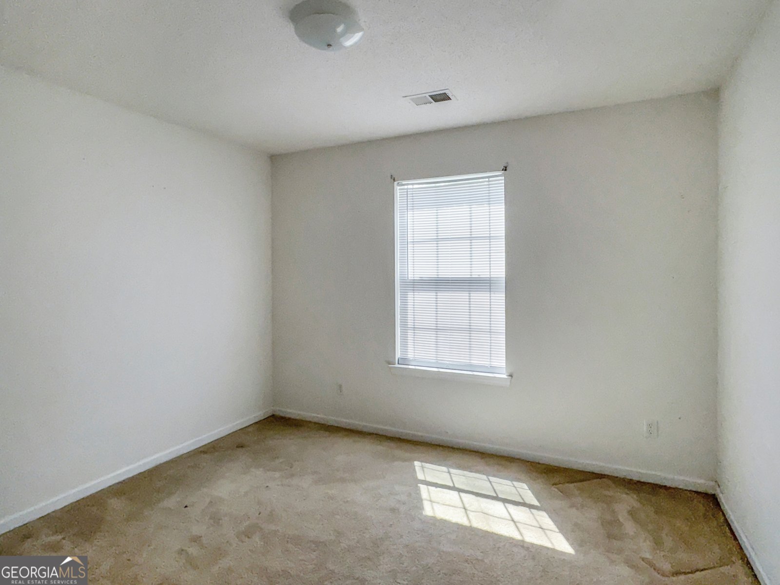 183 Cherry Laural Lane Savannah - 10