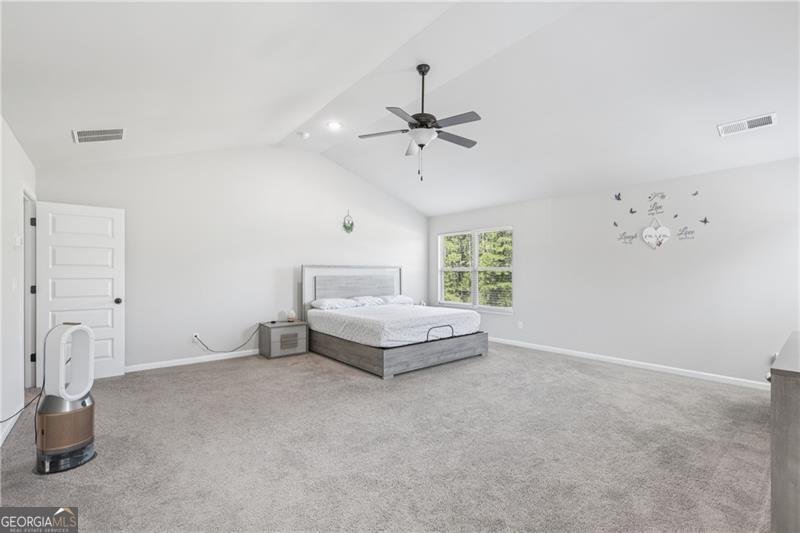 224 Osier Drive Mcdonough - 16