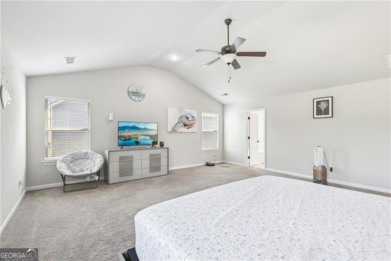 224 Osier Drive Mcdonough - 17