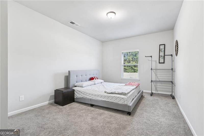 224 Osier Drive Mcdonough - 20