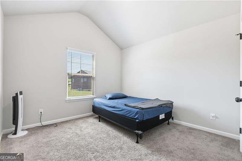 224 Osier Drive Mcdonough - 25