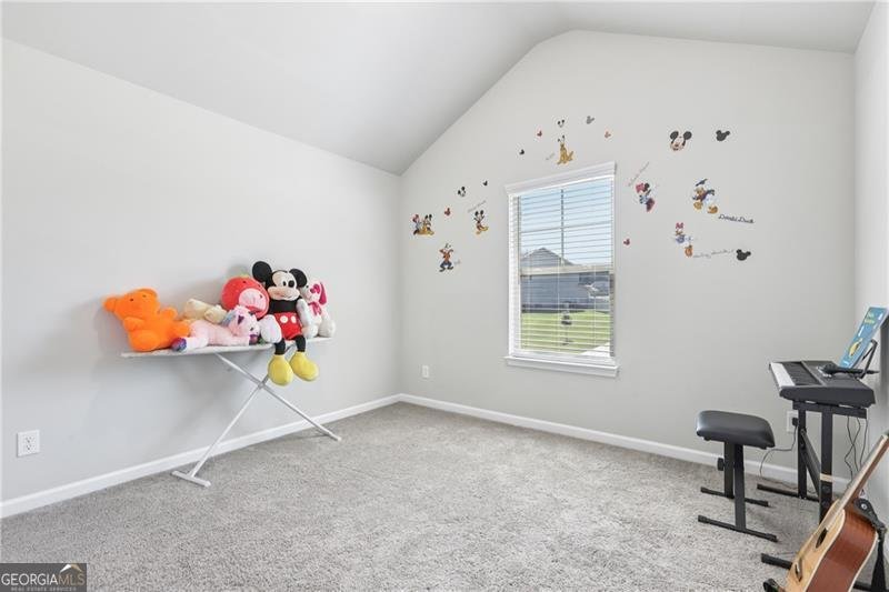 224 Osier Drive Mcdonough - 28