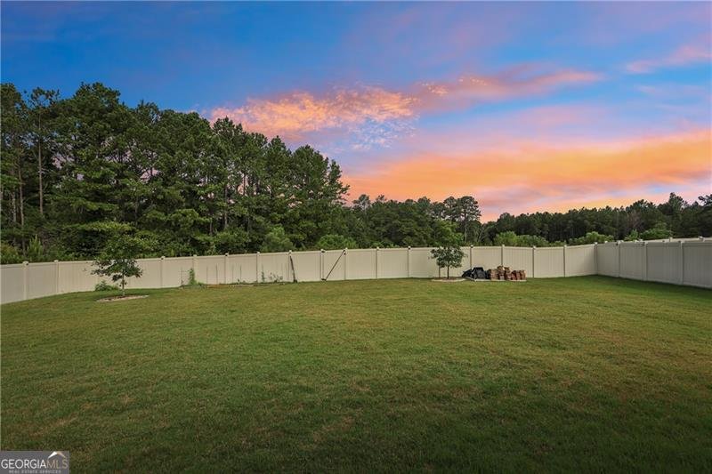 224 Osier Drive Mcdonough - 41