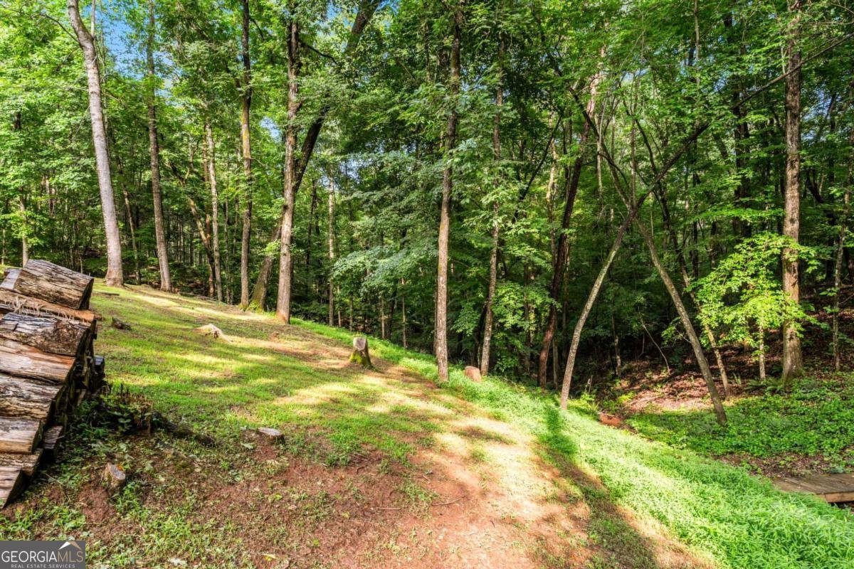 94 DAWSON Drive Dawsonville - 1