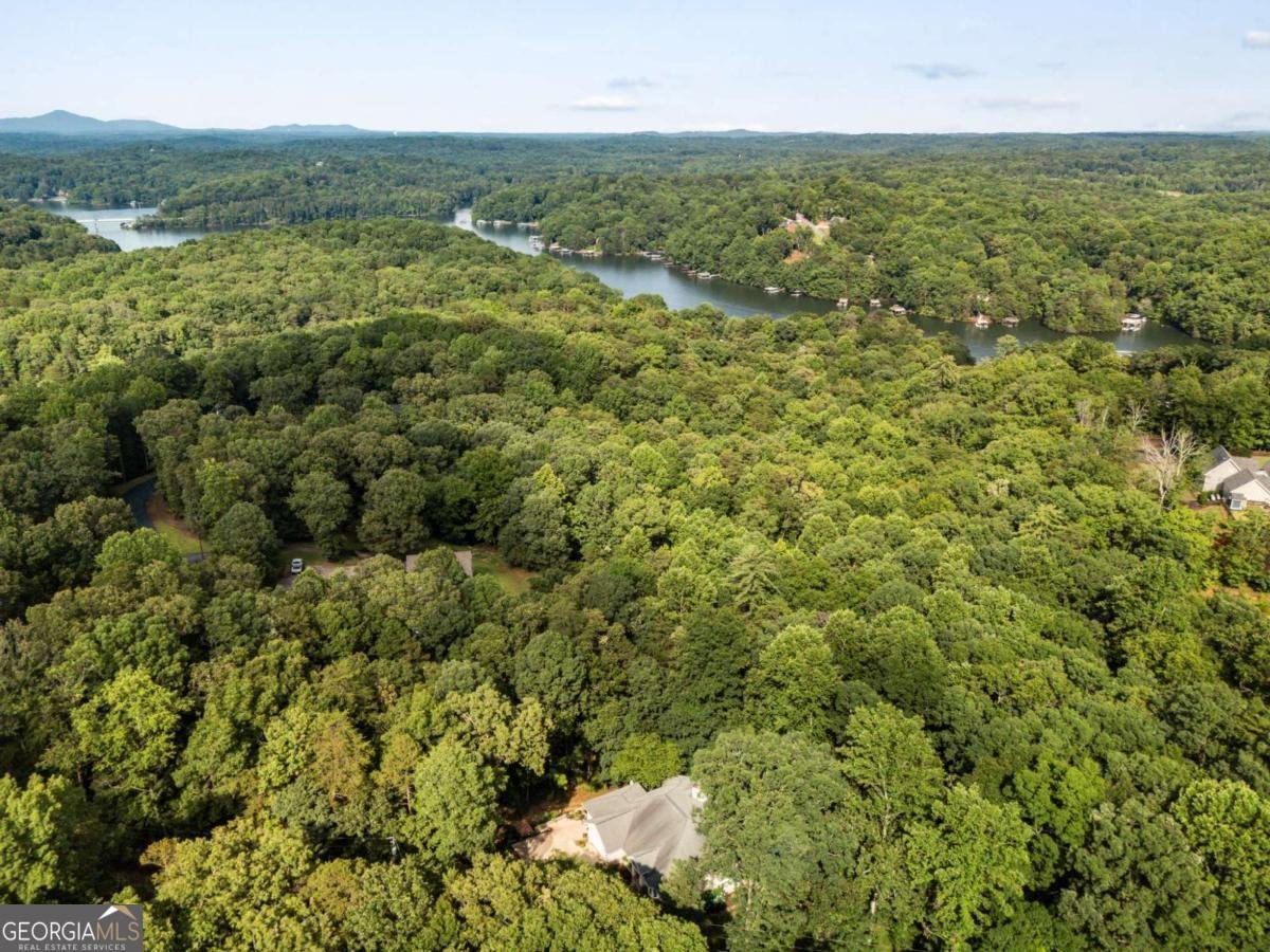 94 DAWSON Drive Dawsonville - 3