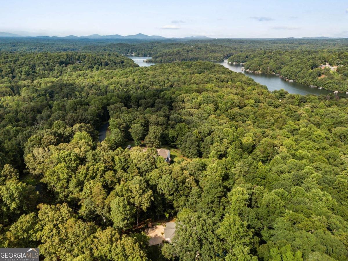94 DAWSON Drive Dawsonville - 4