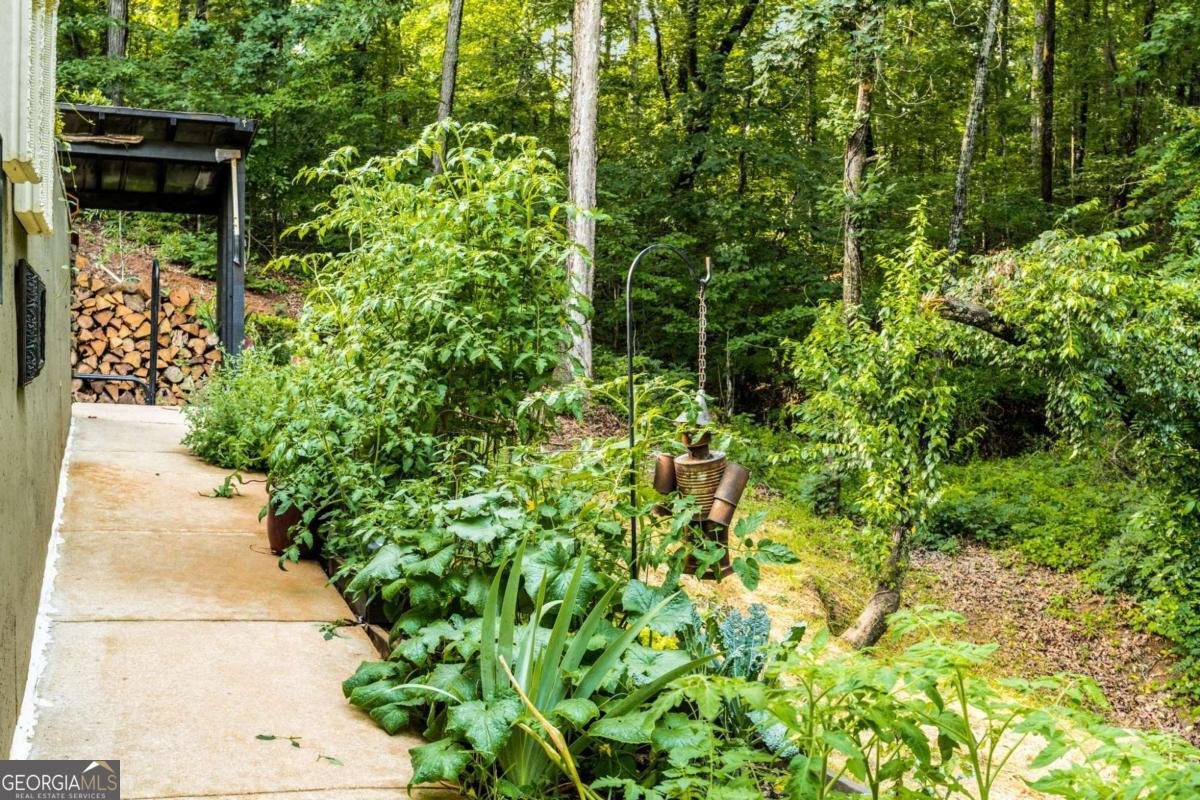 94 DAWSON Drive Dawsonville - 61