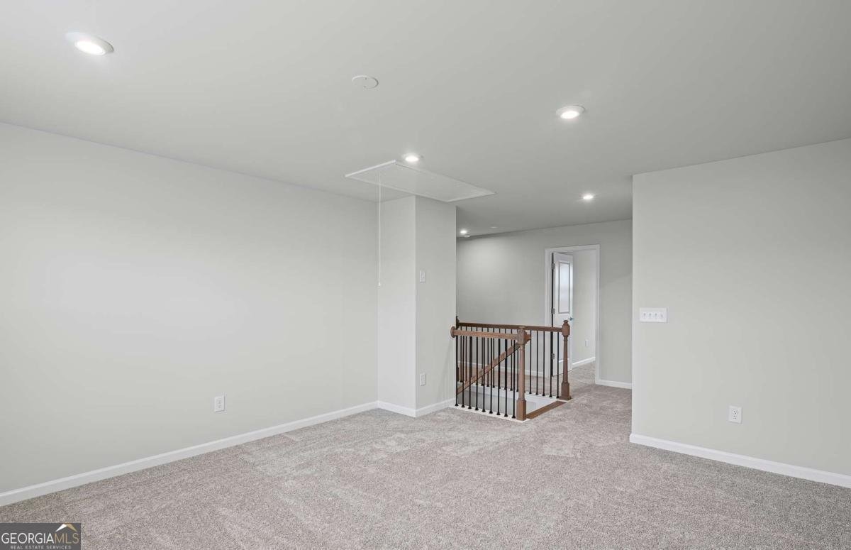 629 Vidalia Park Way Mcdonough - 22