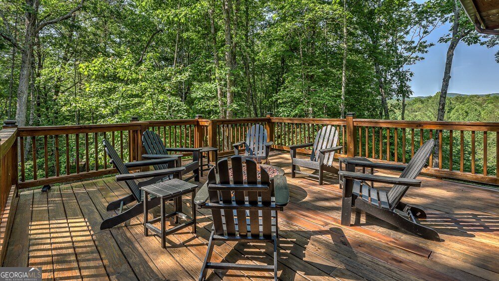 155 Shayla Drive Blue Ridge - 17
