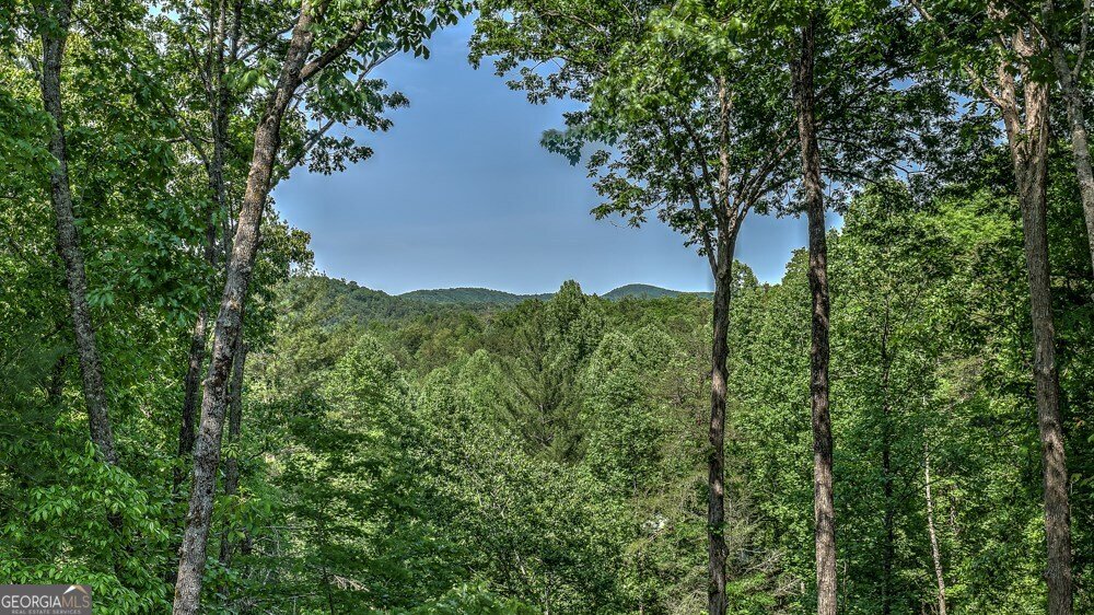 155 Shayla Drive Blue Ridge - 2