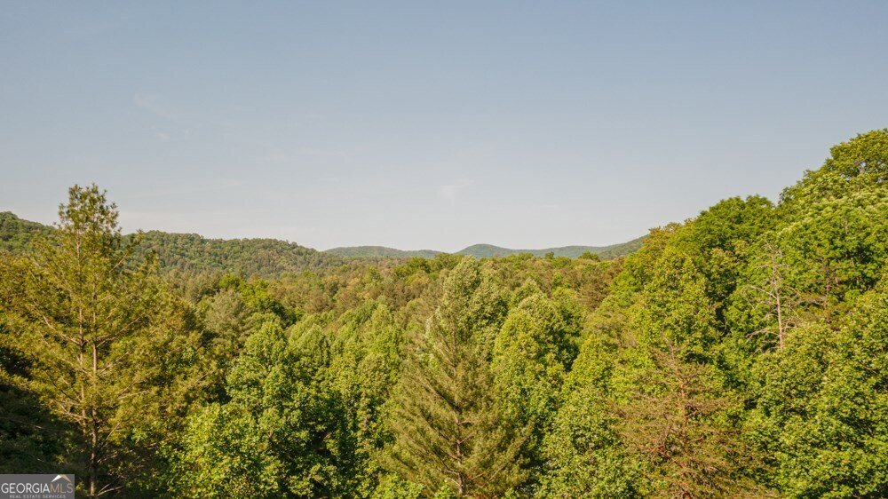 155 Shayla Drive Blue Ridge - 34