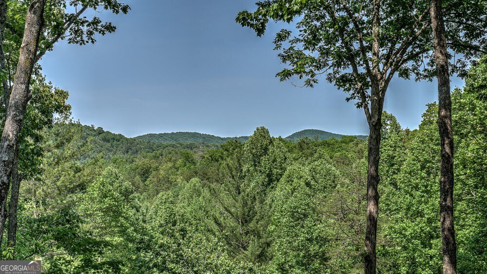 155 Shayla Drive Blue Ridge - 7