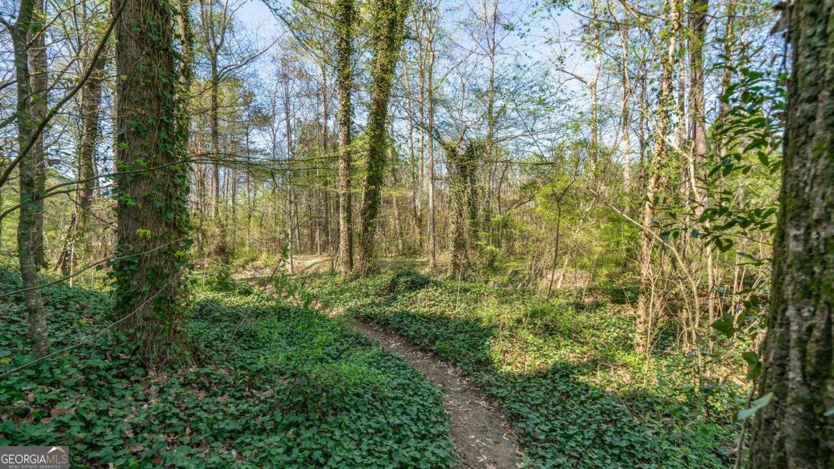 870 Mitsy Ridge Drive Marietta - 28