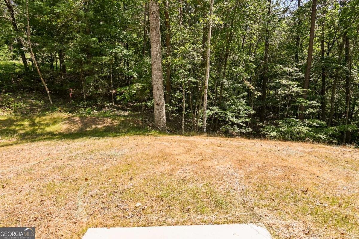 201 Perkins Road Dahlonega - 26