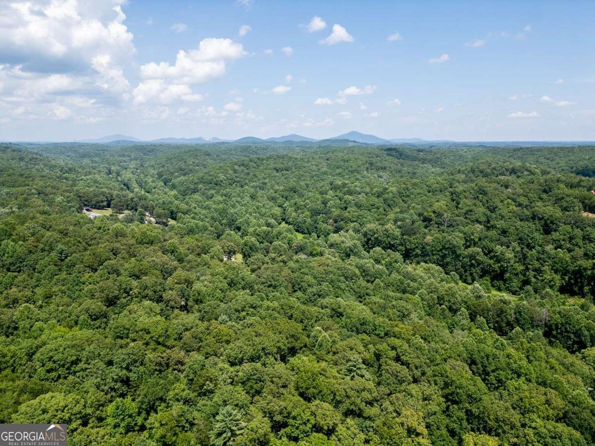 209 Perkins Road Dahlonega - 40