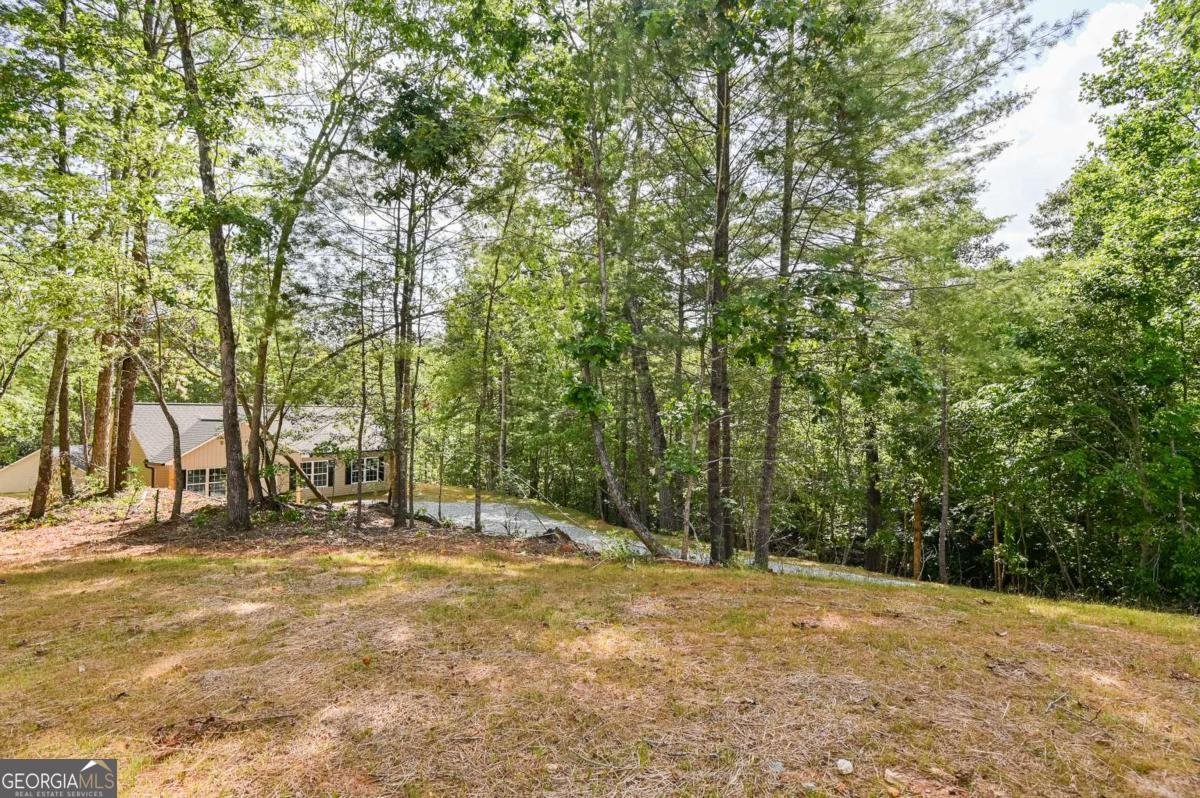245 Perkins Road Dahlonega - 31