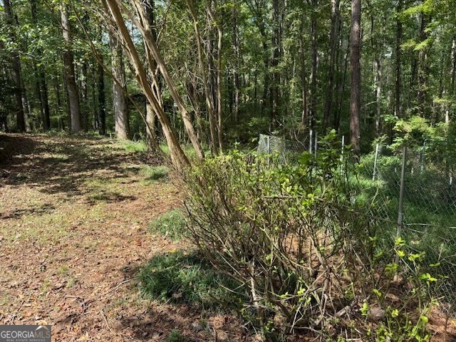 4112 Jodeco Road Stockbridge - 1