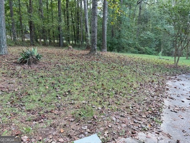 4112 Jodeco Road Stockbridge - 2